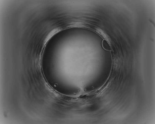 X0000092101386200709121536