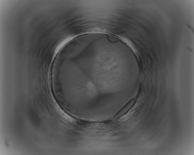 X0000092101387200709121536