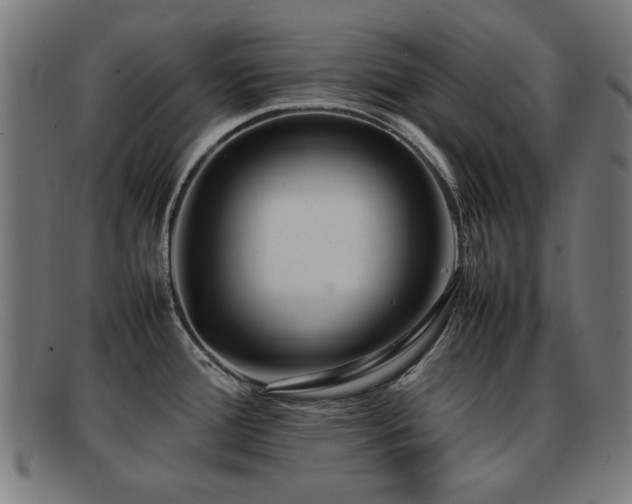 X0000092101388200709121536