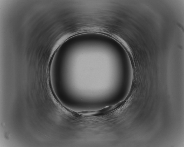 X0000092101389200709121536