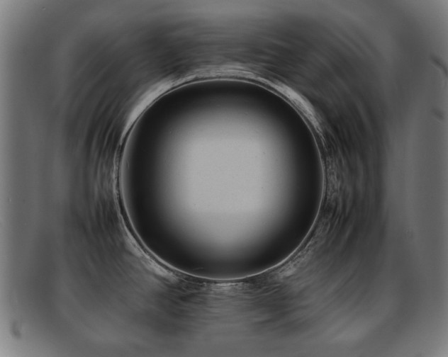 X0000092101390200709121536