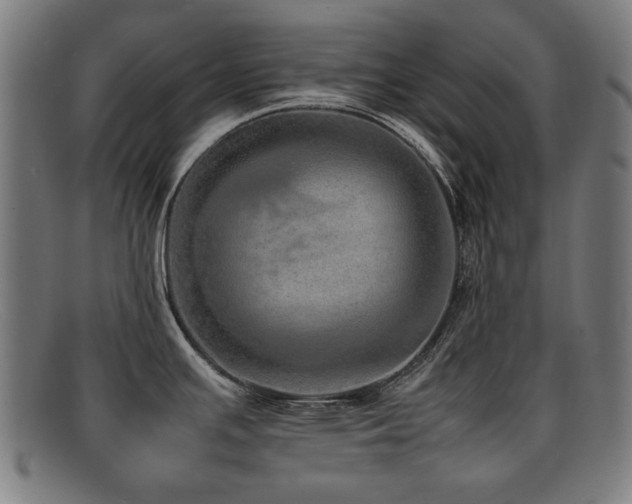 X0000092101391200709121536