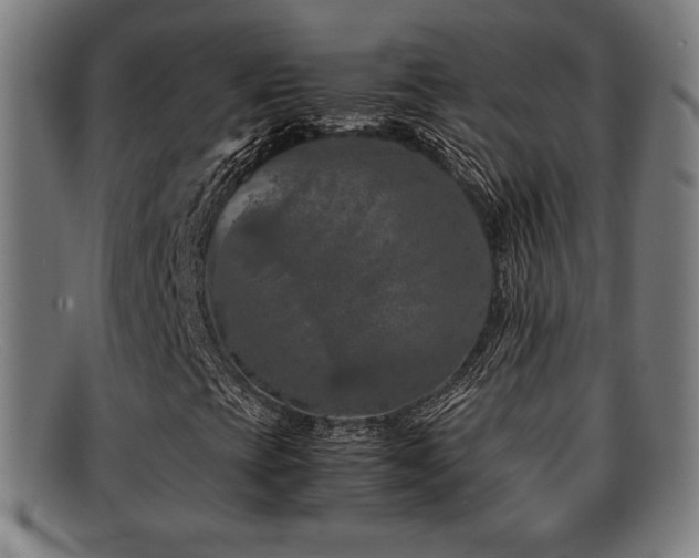 X0000092101393200709121536