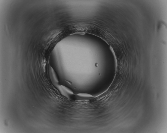 X0000092101394200709121536