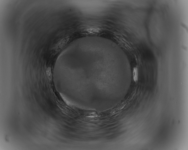 X0000092101395200709121536
