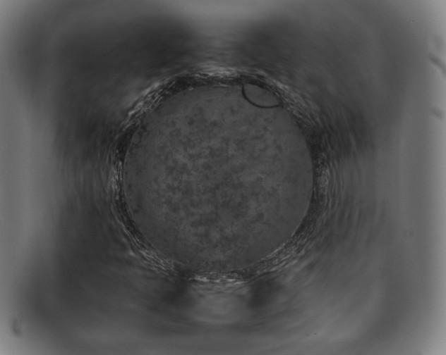 X0000092101397200709121536