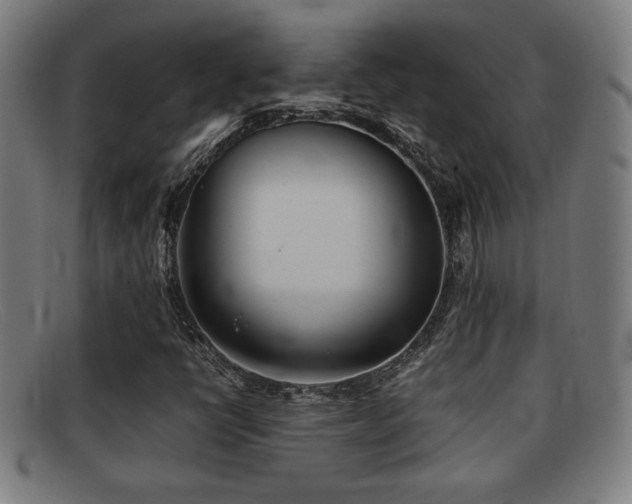 X0000092101398200709121536