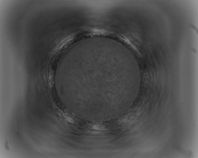 X0000092101399200709121536
