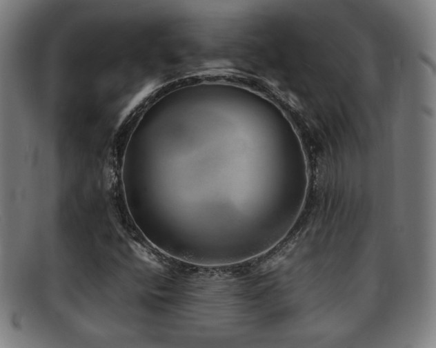 X0000092101400200709121536