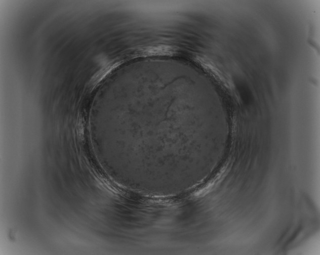 X0000092101401200709121536