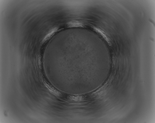 X0000092101403200709121536