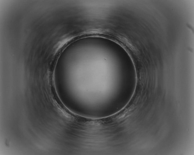 X0000092101404200709121536