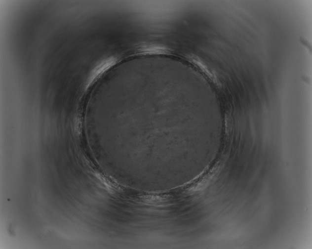 X0000092101405200709121536