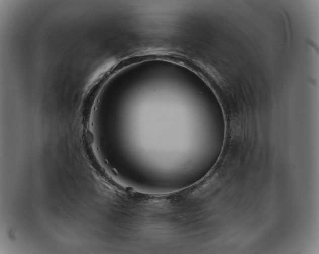 X0000092101406200709121536