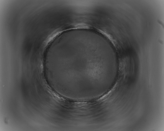 X0000092101407200709121536