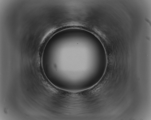 X0000092101408200709121536