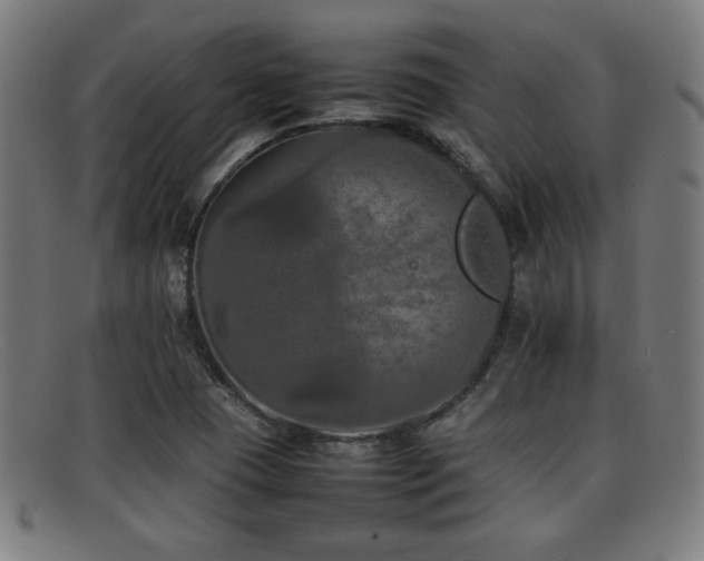 X0000092101409200709121536