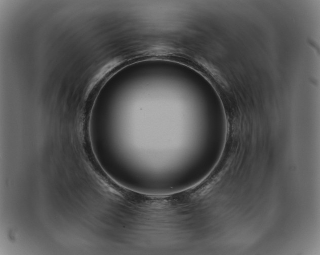 X0000092101410200709121536