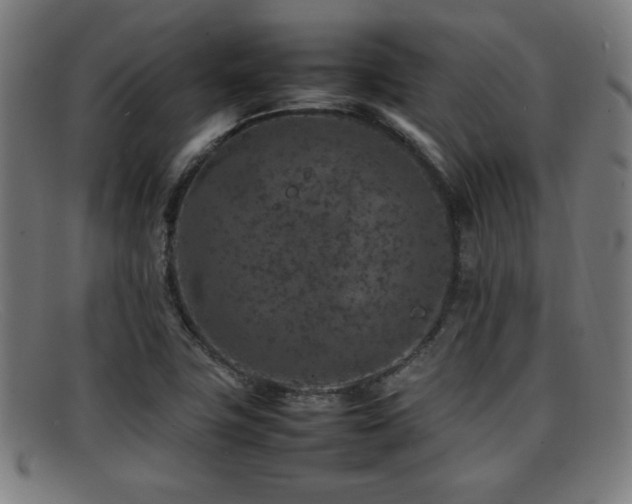 X0000092101411200709121536