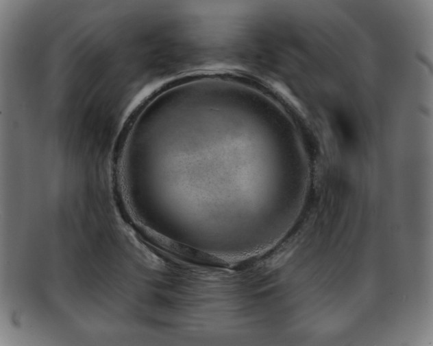 X0000092101412200709121536