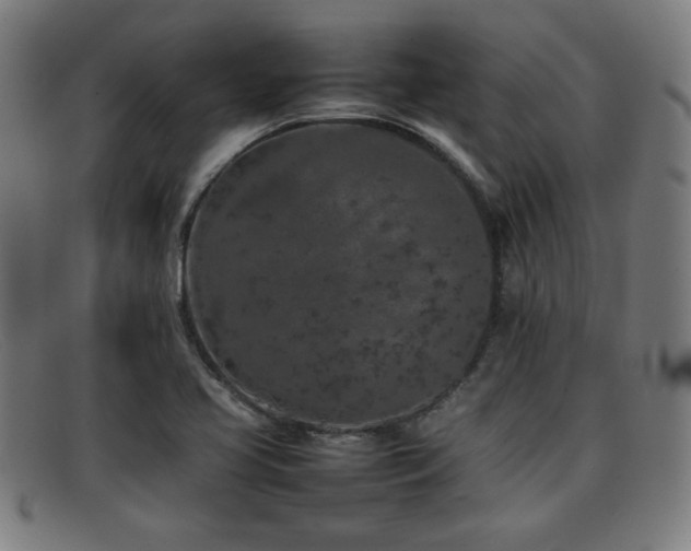X0000092101413200709121536