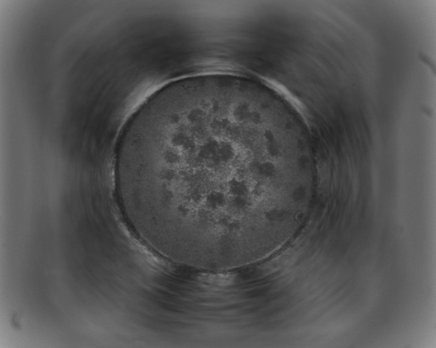 X0000092101415200709121536