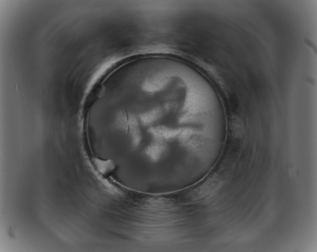 X0000092101416200709121536