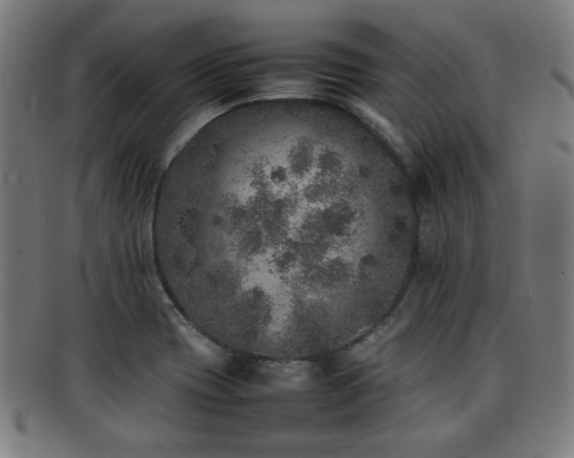 X0000092101417200709121536