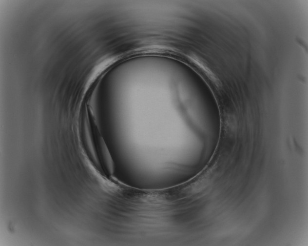 X0000092101418200709121536