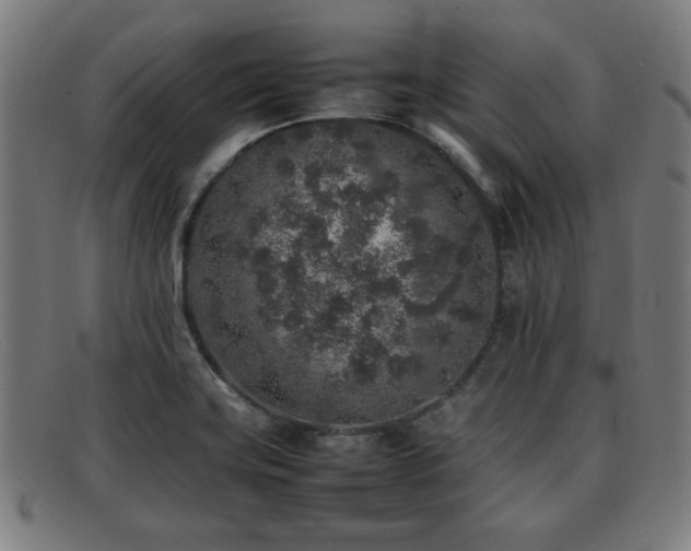 X0000092101419200709121536