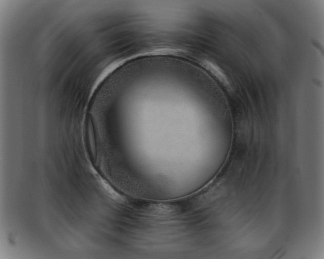 X0000092101420200709121536