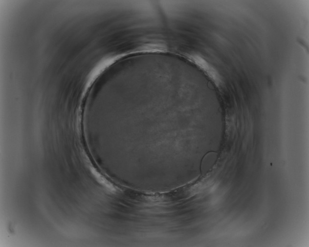 X0000092101421200709121536