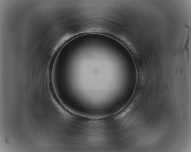 X0000092101422200709121536