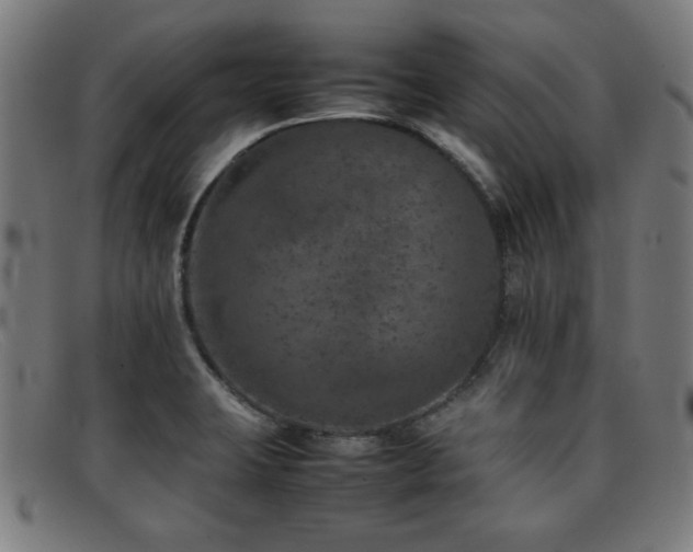 X0000092101423200709121536