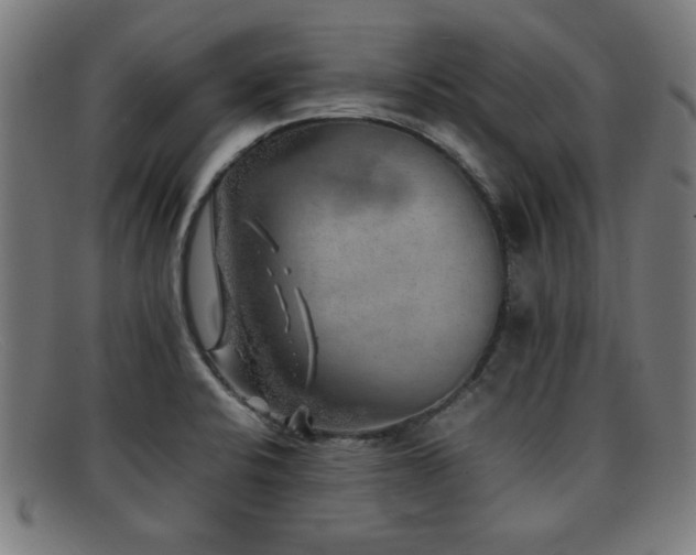 X0000092101424200709121536