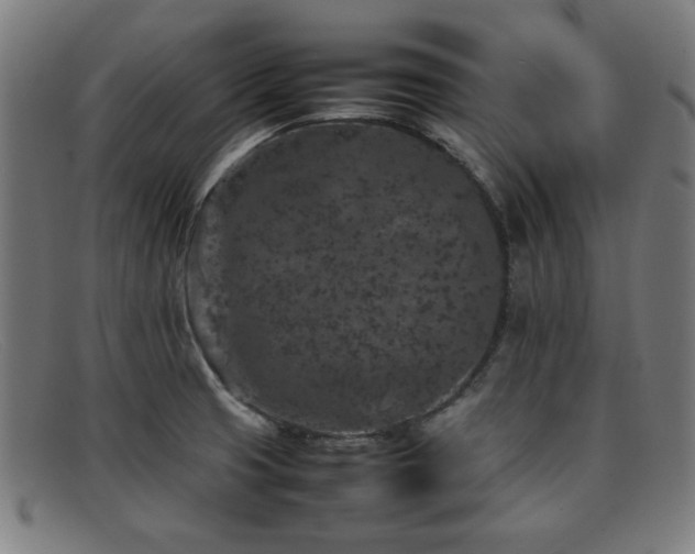 X0000092101425200709121536