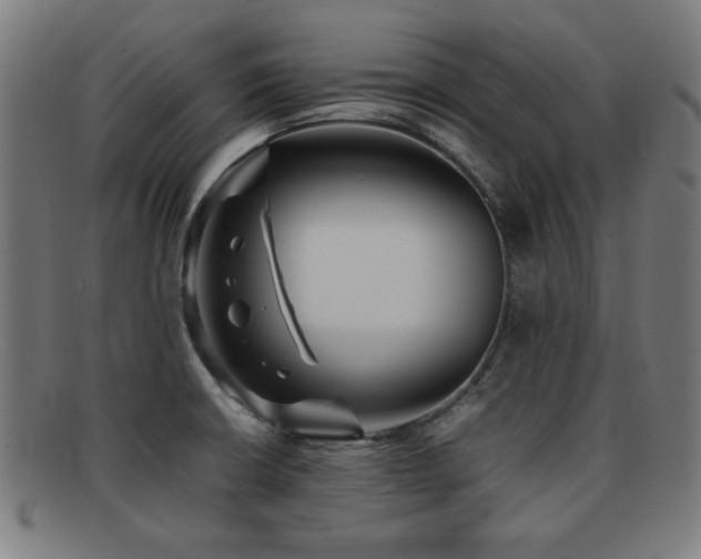 X0000092101426200709121536