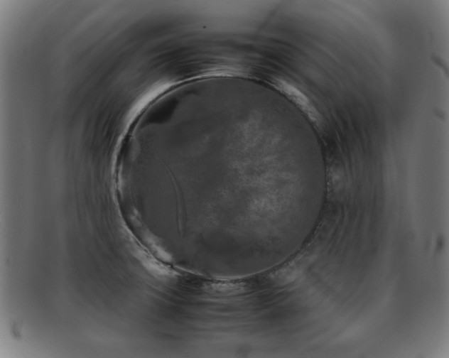 X0000092101427200709121536