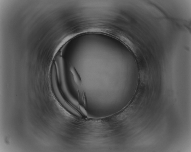 X0000092101428200709121536