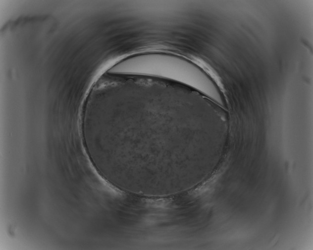X0000092101429200709121536