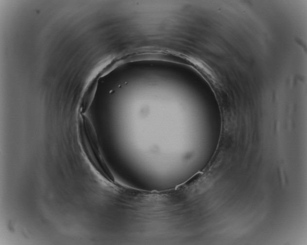X0000092101430200709121536