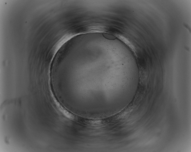 X0000092101431200709121536