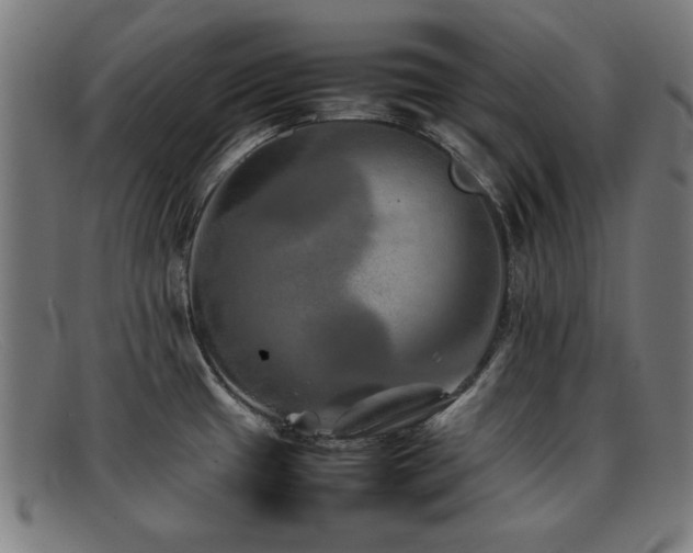 X0000092101433200709121536