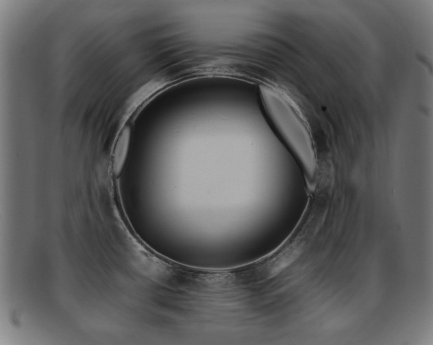 X0000092101434200709121536