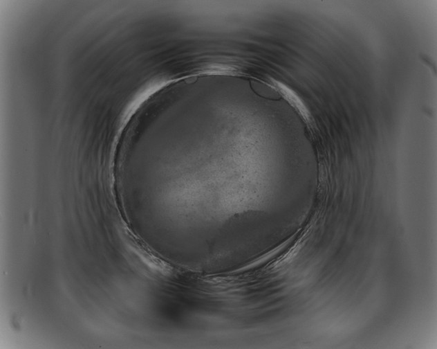 X0000092101435200709121536
