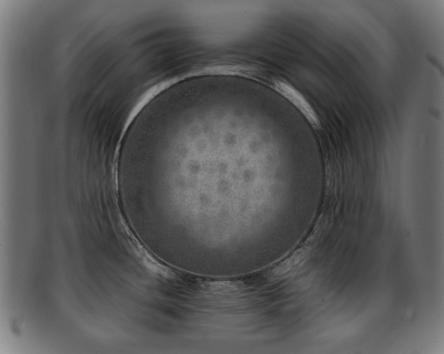 X0000092101436200709121536
