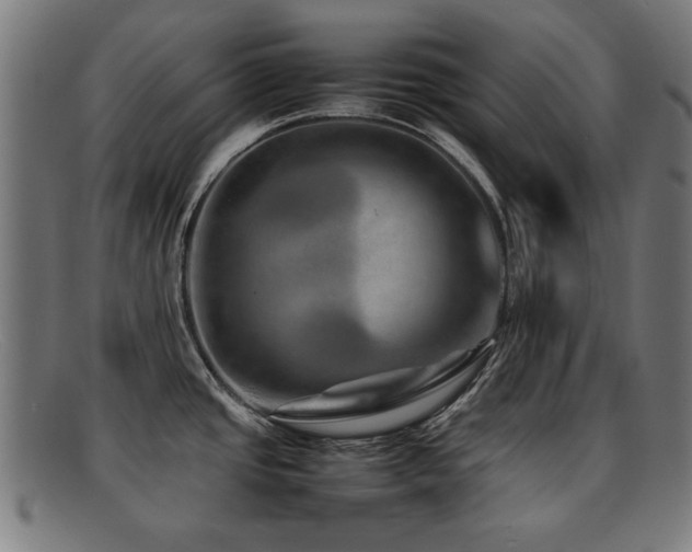 X0000092101437200709121536
