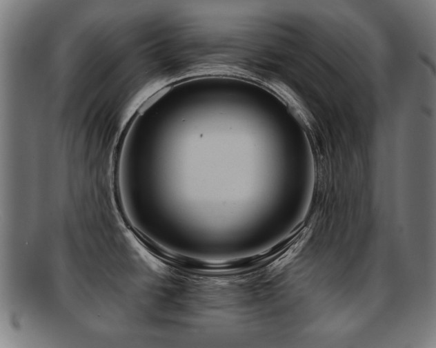 X0000092101438200709121536