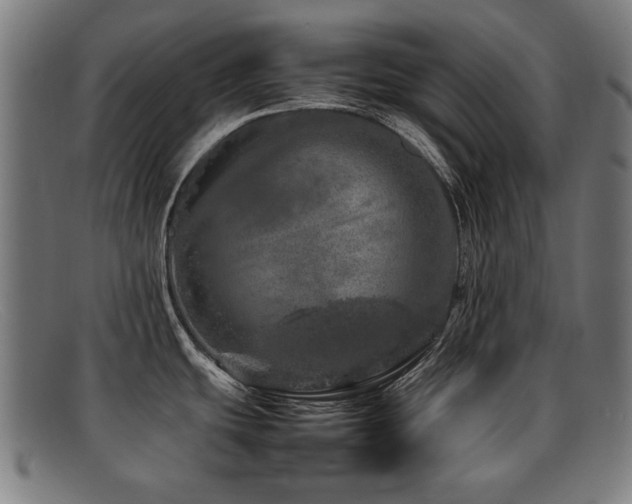 X0000092101439200709121536