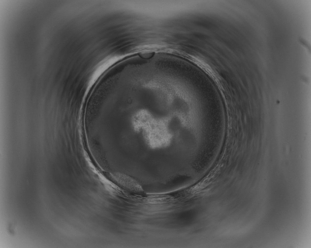 X0000092101440200709121536